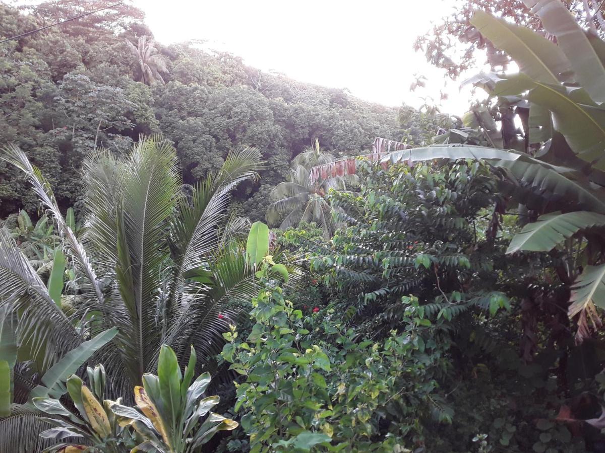 Royal Here Hotel Faaa Luaran gambar